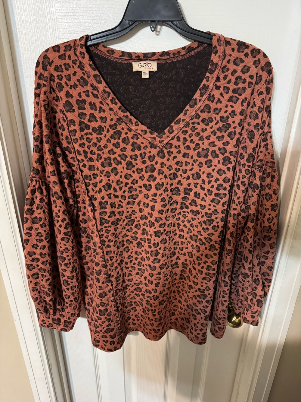 Gigio Rust Mauve Leopard V-Neck Long Sleeve Top